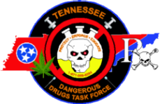 TDDTF Logo TDDTF Logo