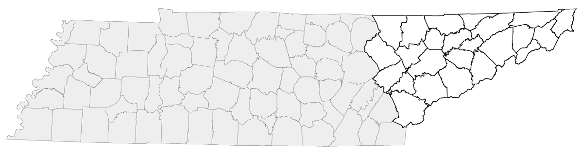 region-1 region-1