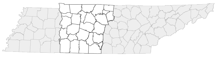 region-3