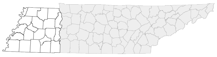 region-4