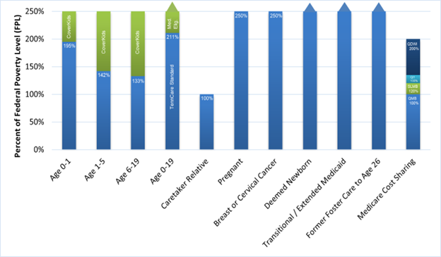 This chart shows the TennCare Medicaid Coverage Groups along with the Percent of the Federal Poverty Level (FPL)
