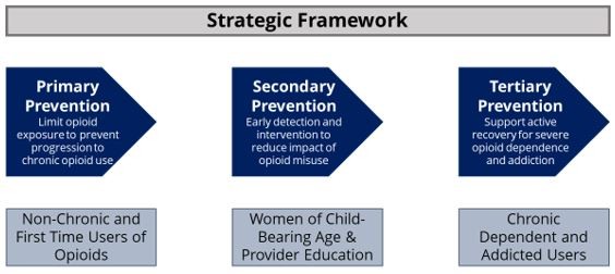 Strategic Framework Strategic Framework