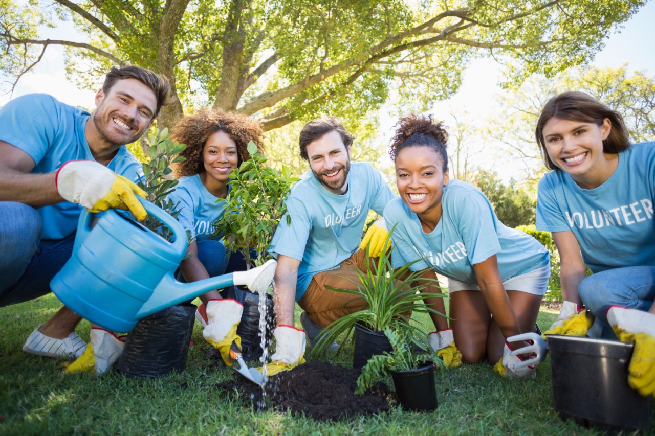 Portrait of volunteer group planting Six volunteers in a light blue t-shirt