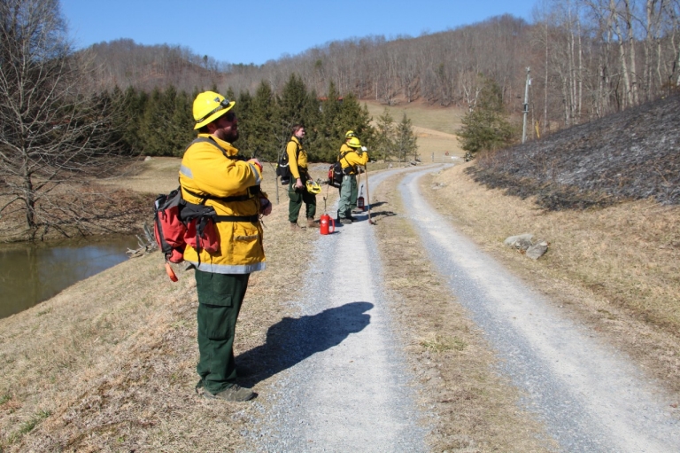 Four firefighters in yellow jackets and helmets stand on a gravel path near a scorched area and a small pond.