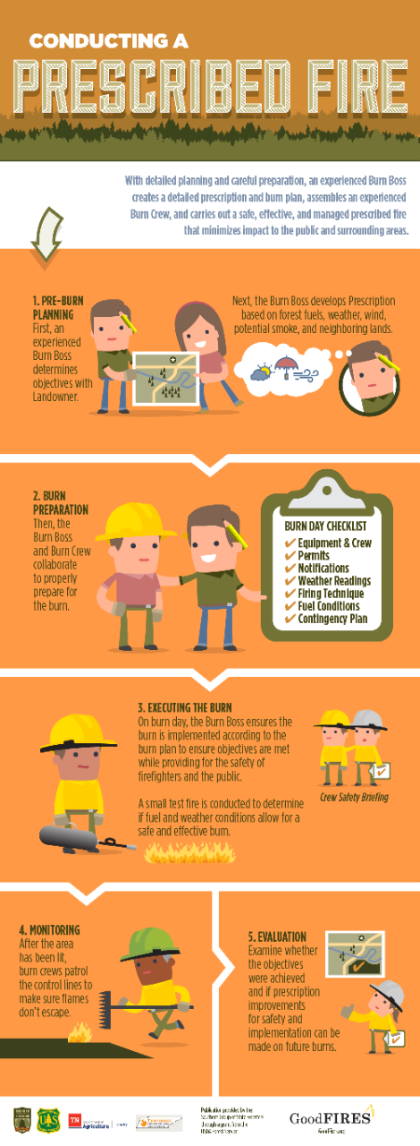 ConductingPrescribedFire_Infographic_TN_vertical