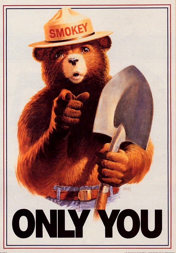 Smokey Bear ONLY YOU poster of Smokey Bear holding a shovel and pointing at you with text that reads "ONLY YOU"