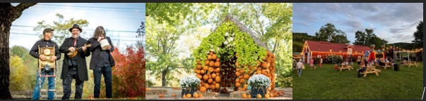 harvest time