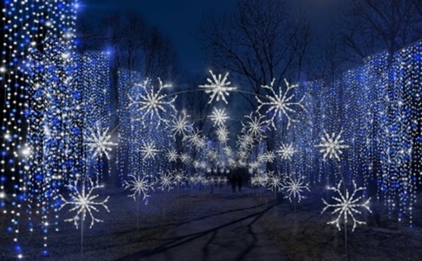 Christmas Lights Christmas Lights