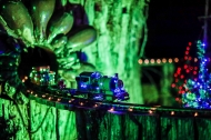 Christmas Train with lights Christmas Train with lights