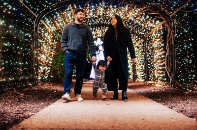 Tennessee Holiday Lights Tennessee Holiday Lights