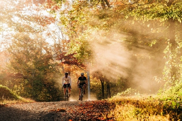 Two bicyclists on path