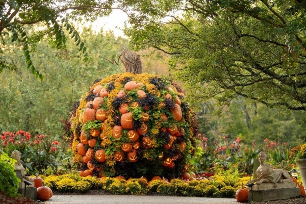 Cheekwood_harvest Plant sculpture featuring jack-o lanterns