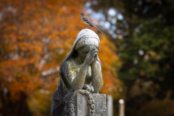 Elmwood Cemetery Craig Thompson statue of woman praying over headstone in a cemetary