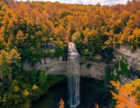Autumn Colors at Fall Creek Falls Autumn colors on trees at Fall Creek falls