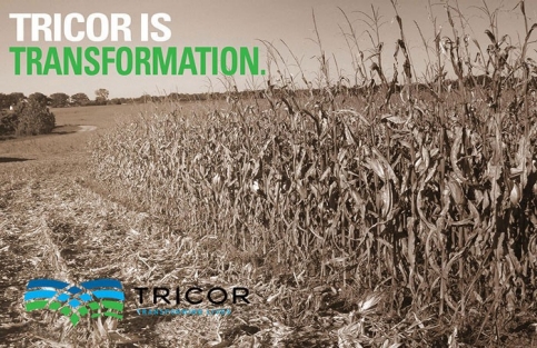 transformation-about-us