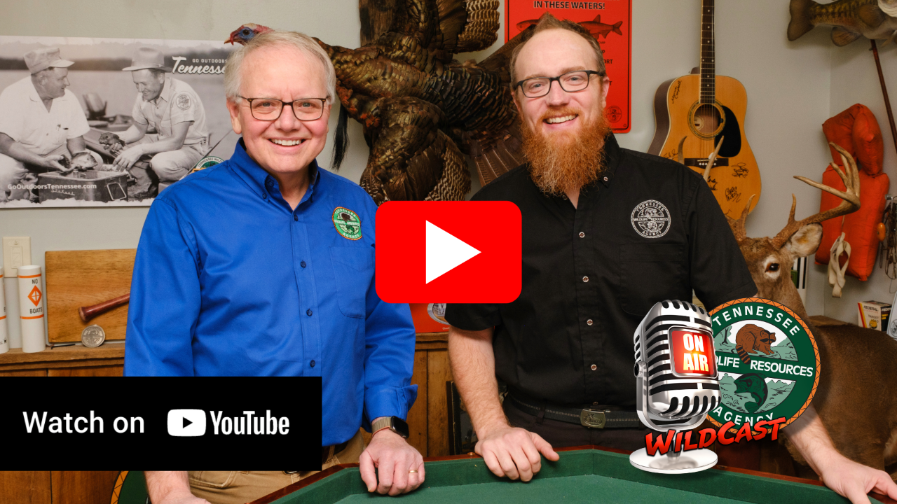 Tennessee WildCast Youtube Playlist