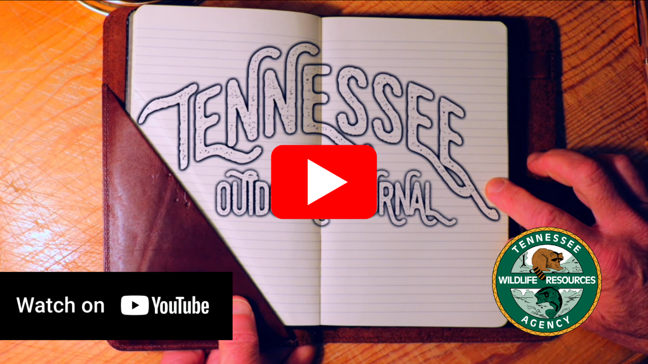 Tennessee Outdoor Journal Youtube Playlist