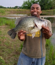 Class A, Black Crappie 5 lbs., 7.7 oz. Pond (Loudon Co.) Lionel Ferguson May 15, 2018