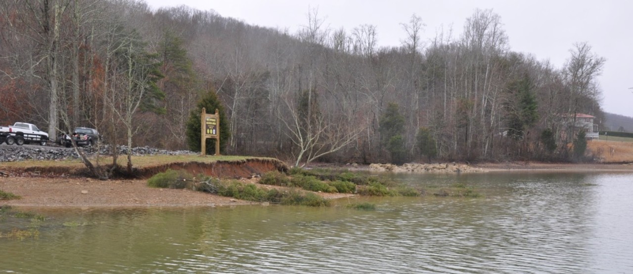 Christmas trees placed on shoreline during winter drawdown at Chickamauga Reservoirs