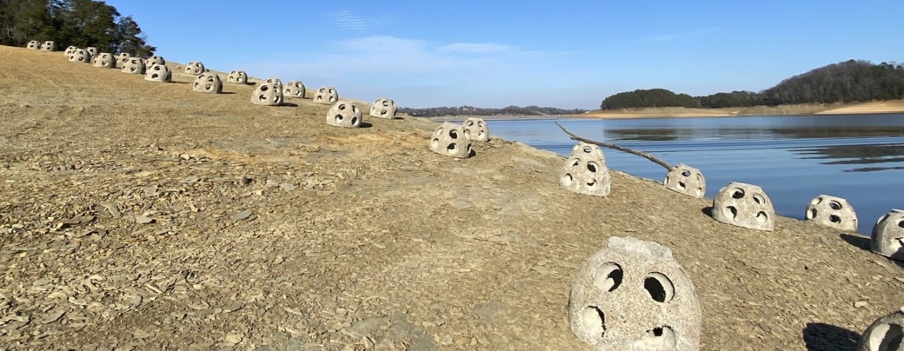 Concrete reef balls on Douglas Reservoir Concrete reef balls on Douglas Reservoir