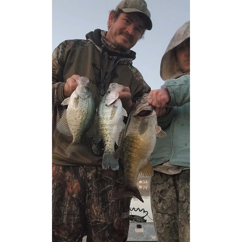 A person showing three fish they caught.