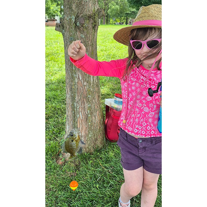 Hadley Hill caught a Bluegill on June 2, 2026. Hadley Hill caught a Bluegill on June 2, 2026.