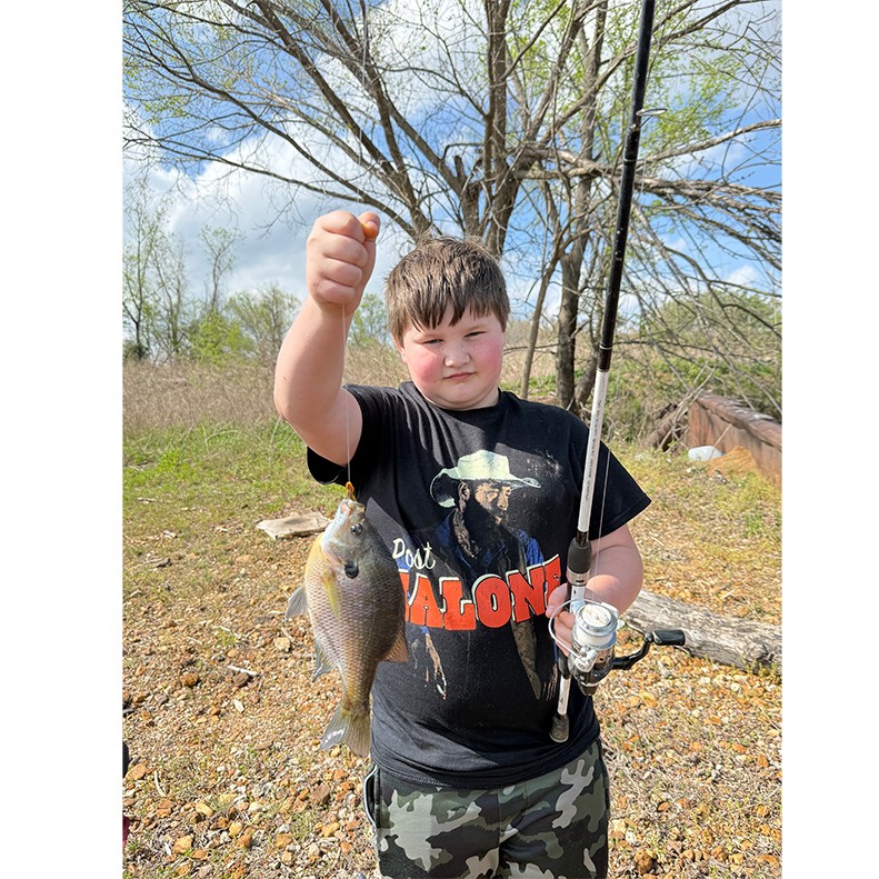 Maxler Bass caught a Bluegill at Saltillo Landing, TN, on March 31, 2026. Maxler Bass shows a Bluegill caught on March 31, 2026.