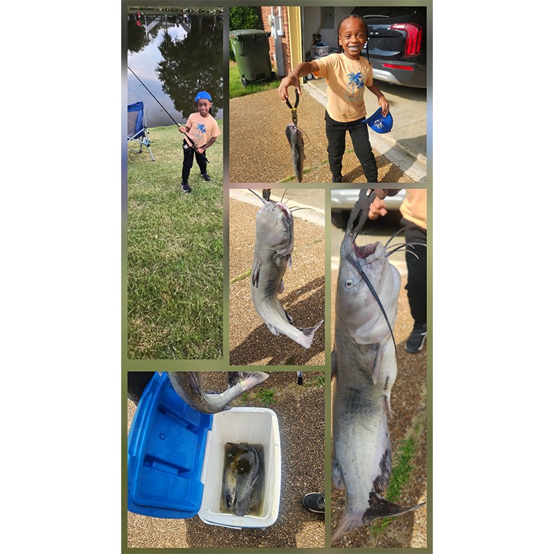 Carter Nichols caught a catfish on June 8, 2026. Carter Nichols shows a catfish caught on June 8, 2026.