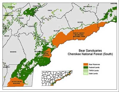 Bear Sanctuaries in Cherokee National Forest