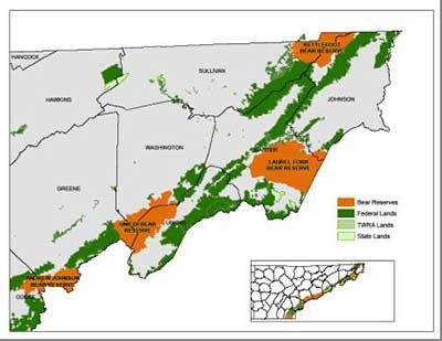Bear Sanctuaries