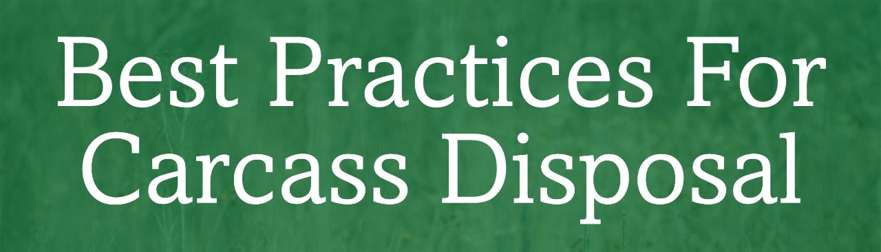 Best Practices for Carcass Disposal Best Practices for Carcass Disposal