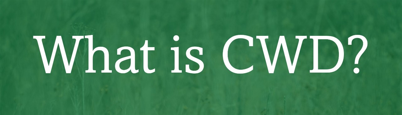 What Is CWD What Is CWD