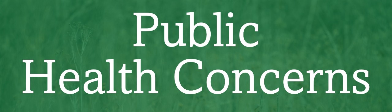 Public Health Concerns Public Health Concerns