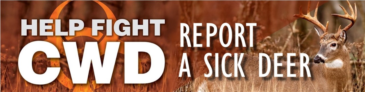CWD Report a sick deer.