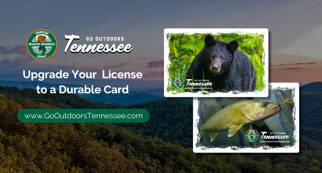 TN.Gov 2024 Hard Card Ad Image (6.5 x 3.5) - 1