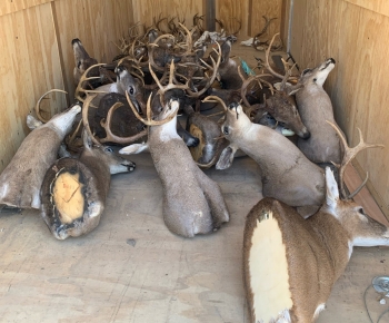 Poaching Evidence