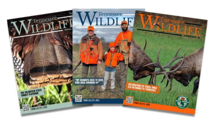 Purchase the Tennessee Wildlife Magazine and get a free Wildlife Calendar