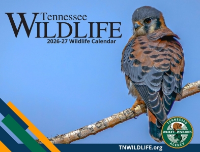 Purchase the Tennessee Wildlife Calendar