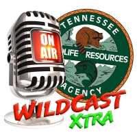 Click here to listen to our Wildcast XTRA Podcast!
