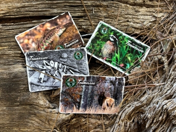 TOP FIVE REASONS TO PURCHASE YOUR HUNT/FISH COMBO LICENSE /content/dam/tn/twra/images/blog/hard-card-2020.png