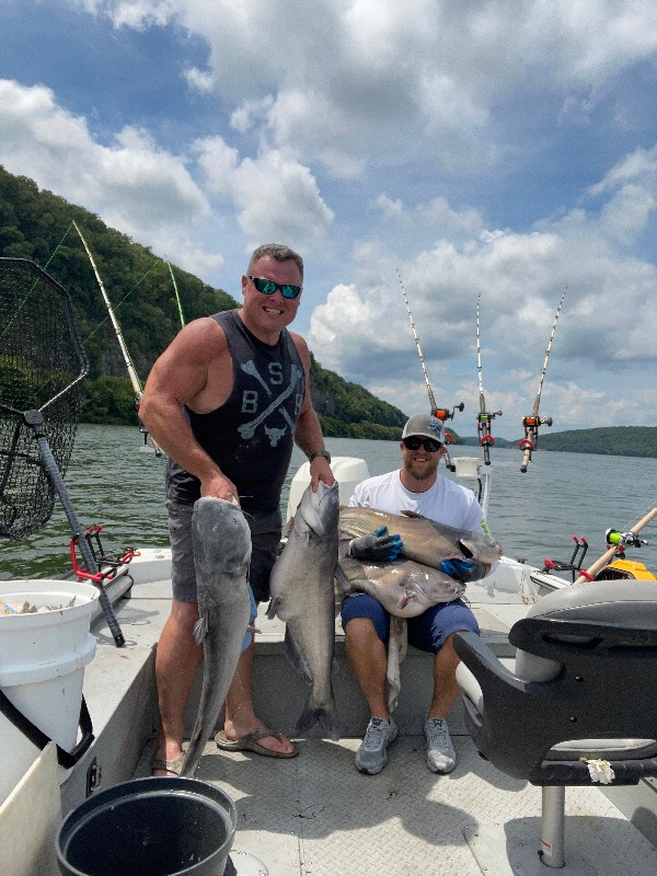 Katfish King