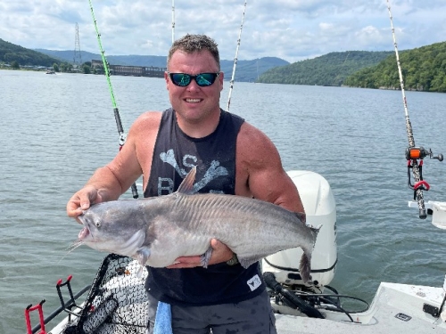 Katfish King