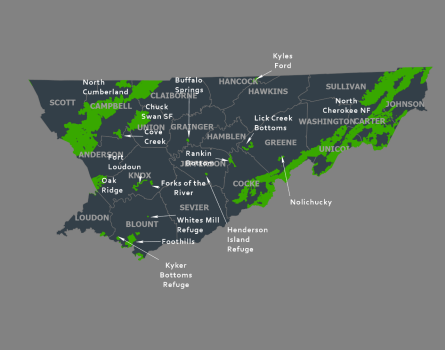 East Tennessee Region 4 East Tennessee Region 4
