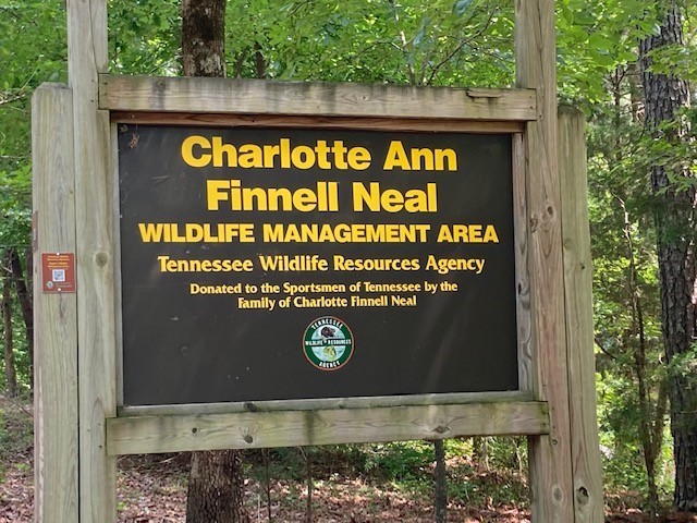 Charlotte Ann Finnell Neal WMA
