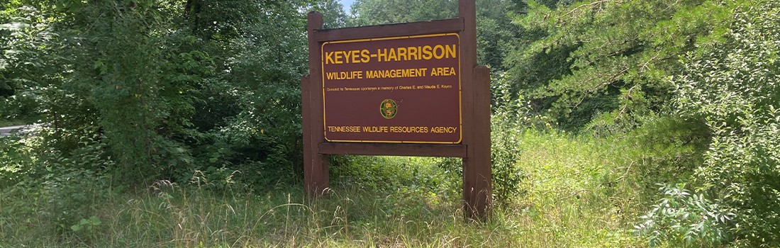 keyes-harrison_banner keyes-harrison_banner