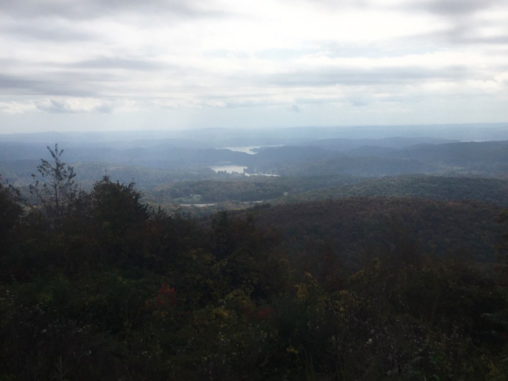 Mt Roosevelt WMA
