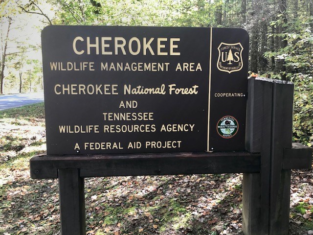 South Cherokee WMA