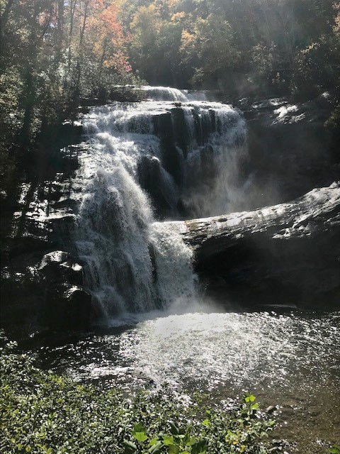 South Cherokee WMA