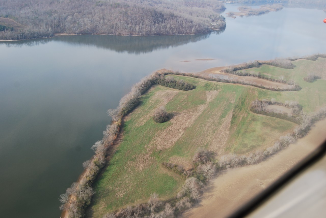 Watts Bar WMA Long Island