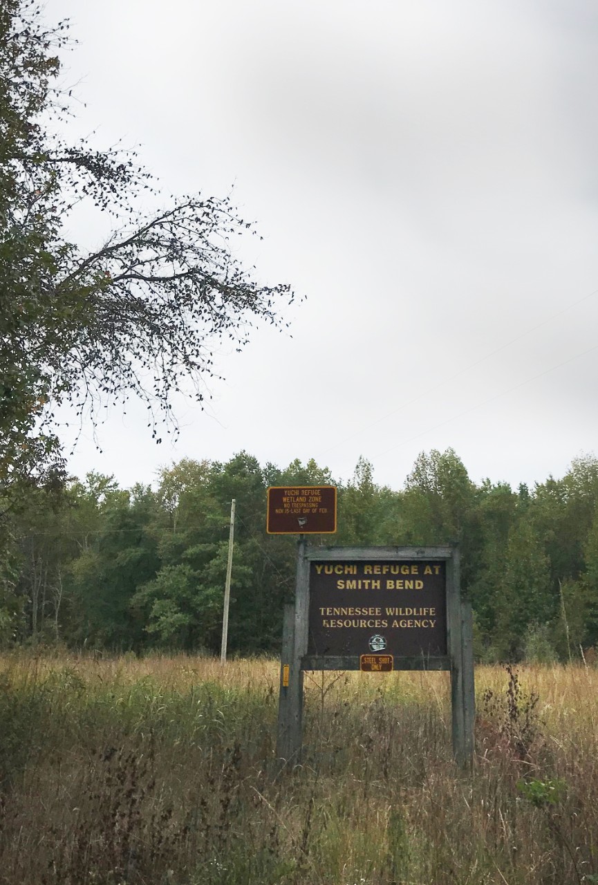 Yuchi Refuge WMA